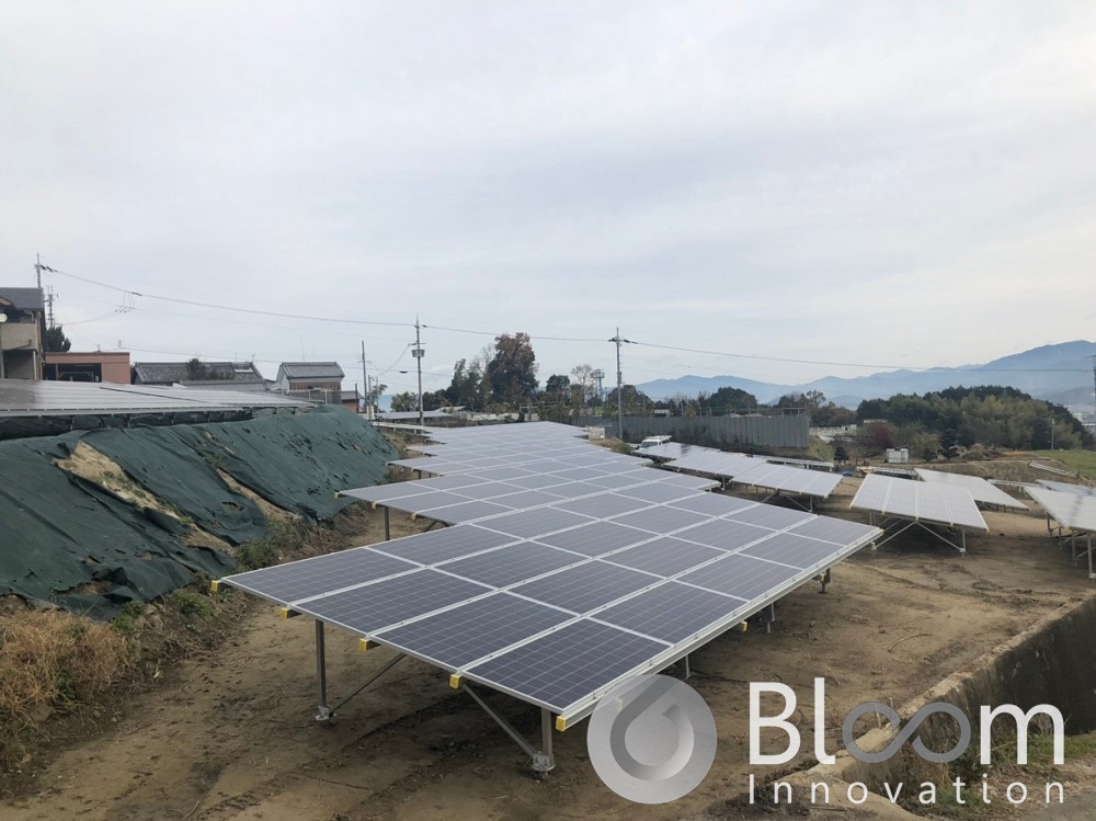 BloomInnovation事例2